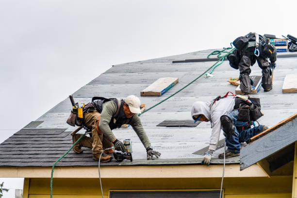 Professional Storm Damage Roof Repair technician working in Lyons, NY